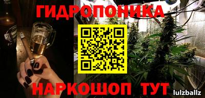 спайс Малгобек