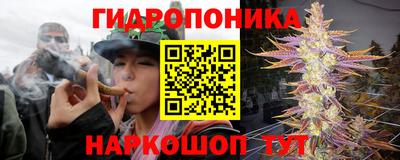 спайс Малгобек