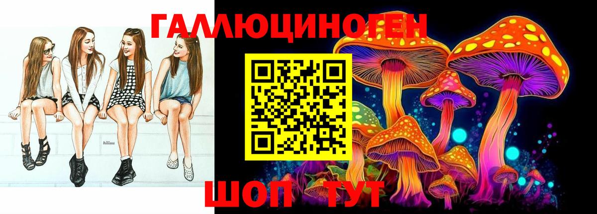 Псилоцибиновые грибы Cubensis Каменка
