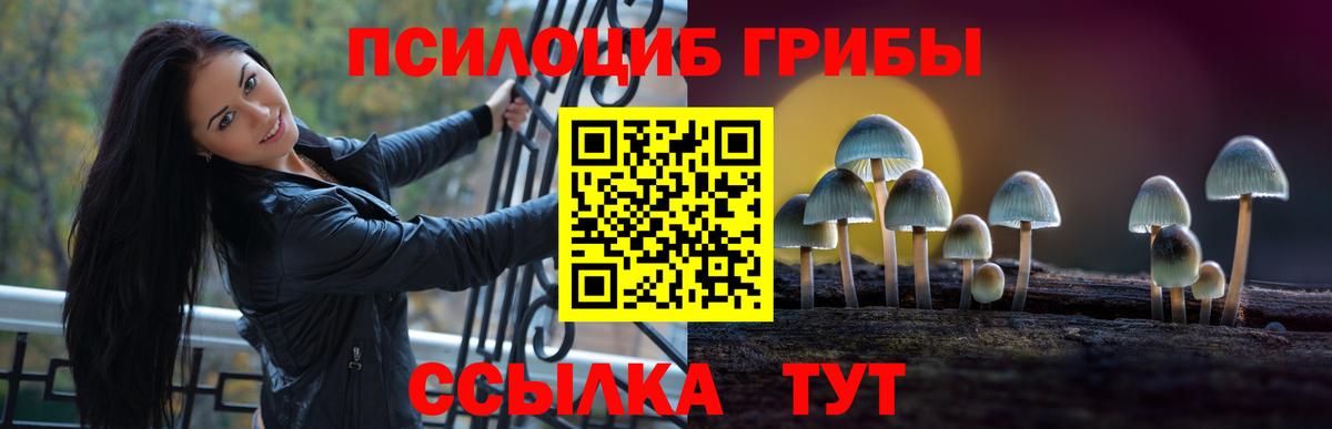 Псилоцибиновые грибы MAGIC MUSHROOMS  Вход с VPN  Каменка 